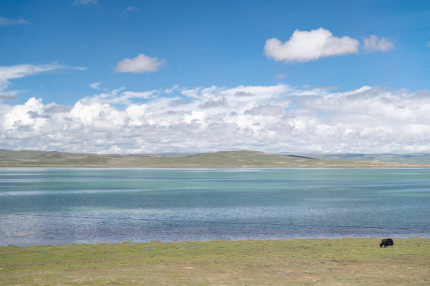 istock TIbet in the summer 1930942690