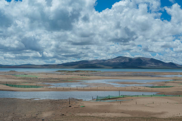 istock TIbet in the summer 1930942707