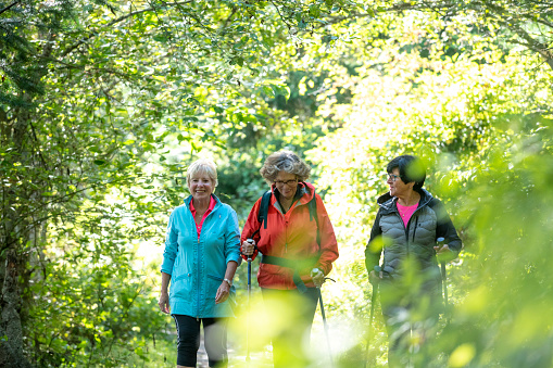 Senior women hike through forest together and chat