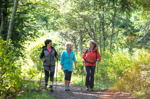 istock Senior women hike through forest together 1930960649