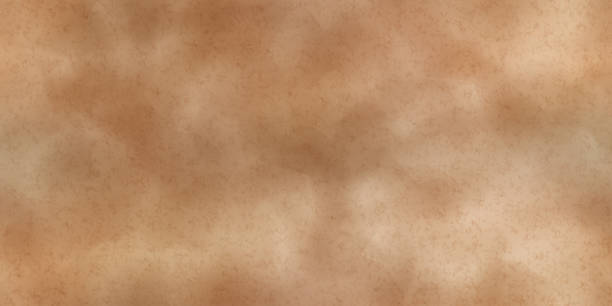 Natural beige matte suede seamless texture Natural beige matte suede seamless texture. Reverse side of leather. Realistic vector illustration. Deerskin background leather backgrounds textured suede stock illustrations