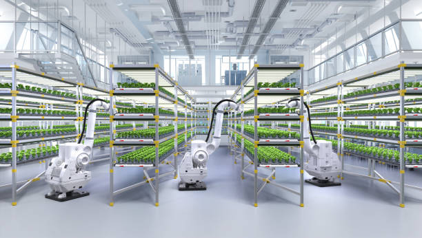 istock Agriculture technology concept with 3d rendering robotic arm spray fertilizer on plants in greenhouse 1930969561
