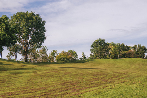 golf ball on green grass. banner copy space