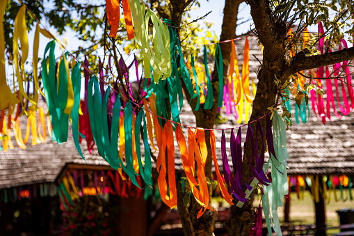 Colored ribbons on a tree at a summer festival