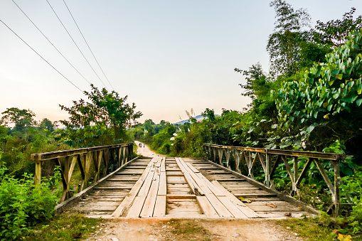 bridge in forest, beautiful photo digital picture