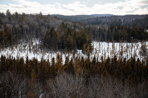 Winter view in Algonquin Park from the observation area.