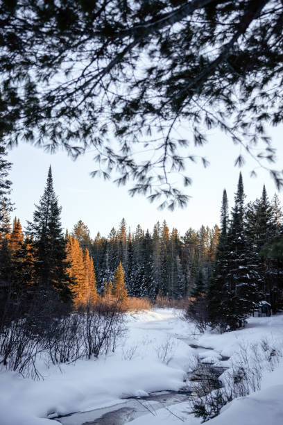 istock Winter photos in the park. 1931116270