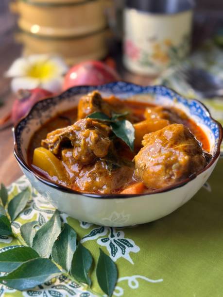 spicy red chicken curry. goan style chicken vindaloo. butter chicken murgh makhani curry roast hot and spicy gravy dish dhaba punjab, india. north indian non-vegetarian cuisine garam masala. tikka - nonvegetarian stock-fotos und bilder