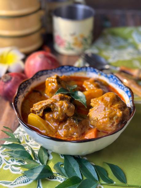 spicy red chicken curry. goan style chicken vindaloo. butter chicken murgh makhani curry roast hot and spicy gravy dish dhaba punjab, india. north indian non-vegetarian cuisine garam masala. tikka - nonvegetarian - fotografias e filmes do acervo
