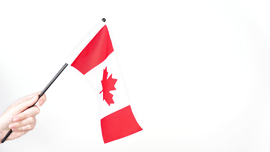 Hand proudly waving the national flag of Canada. Canada day, vote.