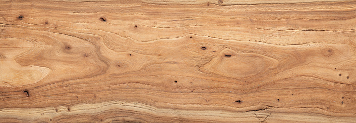 Elm wood texture. Extra long elm planks texture background. Wide abstract texture background.