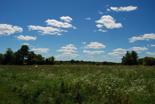 Wisconsin Countryside