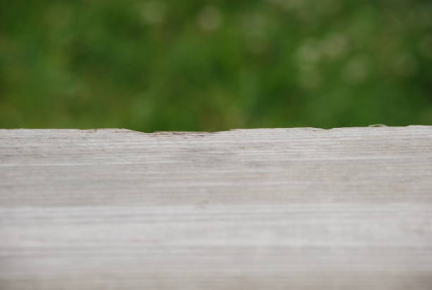 Closeup of White Painted Wood