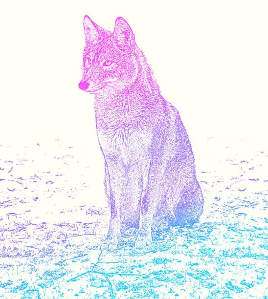 Vector illustration of One Wild Coyote