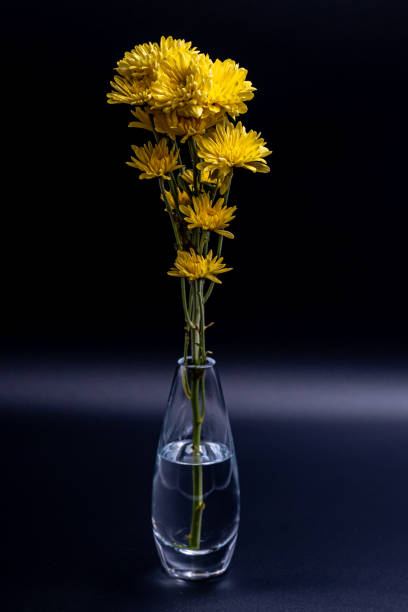 istock Yellow Mums in Vase 1931467776