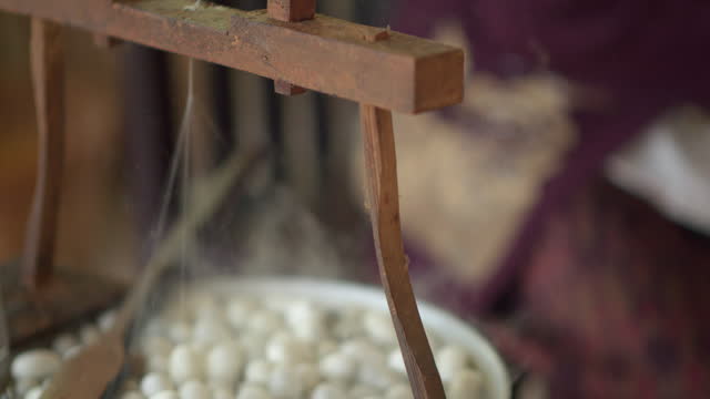 Way of life of the villagers is sericulture until the silkworm cycle is created and then used to make beautiful silk.
