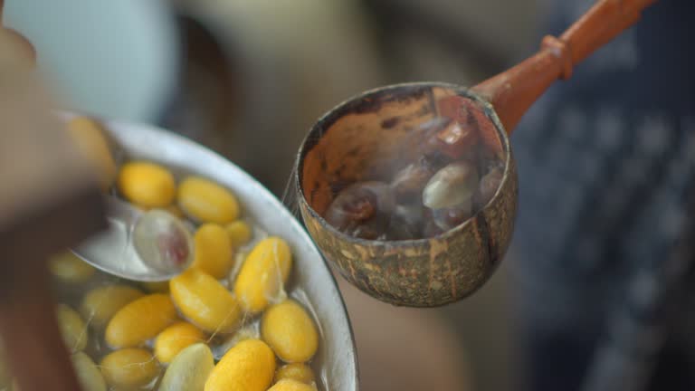 Way of life of the villagers is sericulture until the silkworm cycle is created and then used to make beautiful silk.