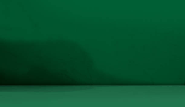 istock Green Background Product Sale Wall Studio Backdrop Floor Shadow  Light Podium Table Room Photography Concrete Bg Platform Empty Beige Place Kitchen Mockup Cement Scene Autumn Pattern Autumn 3d Loft. 1931488788