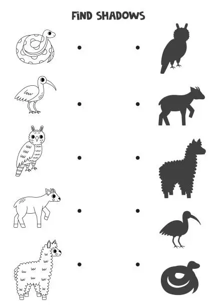 Vector illustration of Find the correct shadows of black and white South American animals. Logical puzzle for kids.