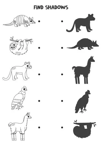 Vector illustration of Find the correct shadows of black and white South American animals. Logical puzzle for kids.