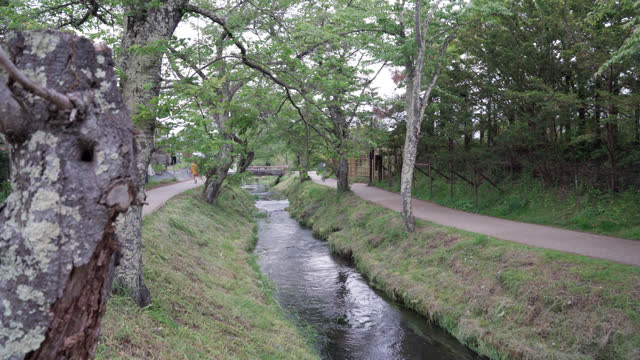 Oshino Hakkai is a small village in a scenic setting with 8 ponds,Japan