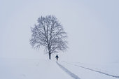 Young man in jacket running on winter road with snow and large tree. Czech landscape, sport background