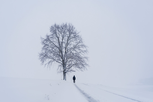 Young man in jacket standing on winter road with snow and large tree. Czech landscape background