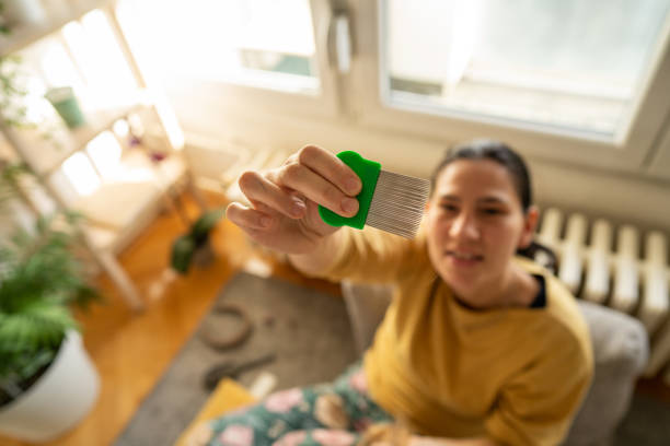 istock Mother doing head lice cleaning on daughter at home 1931793601