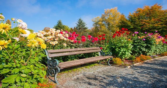 White bench in the park 