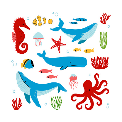 Flat cute sea animals, marine plants and fishes. Underwater corals and seaweed set. Hand drawn collection of vector clip arts on white background.