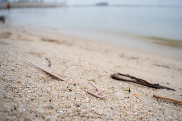 Discarded plastic cloth hanger washed on the beach