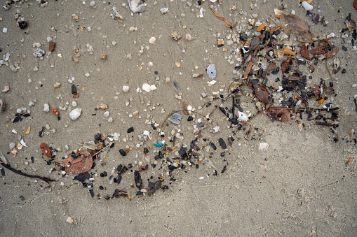 Plastic particle washed on the beach