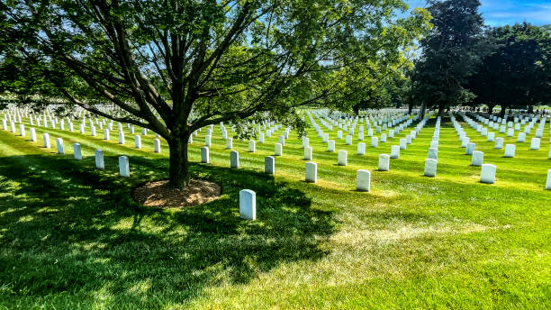 istock Strolling through immense rows of white marble tombstones at Arlington National Military Cemetery. 1931908335