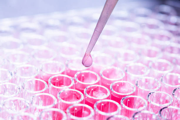 istock Researcher in laboratory working with cell culture 1931920492