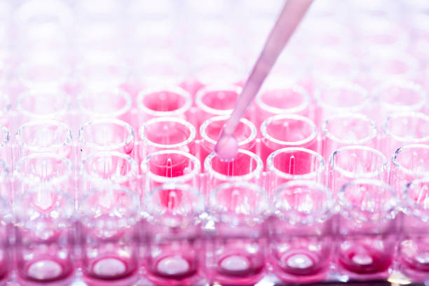 istock Researcher in laboratory working with cell culture 1931923140