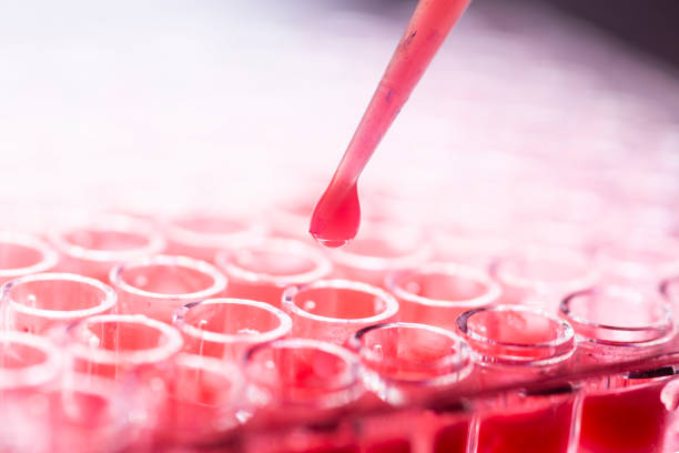 istock Researcher in laboratory working with cell culture 1931923672