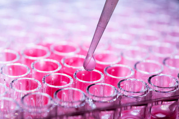istock Researcher in laboratory working with cell culture 1931926266