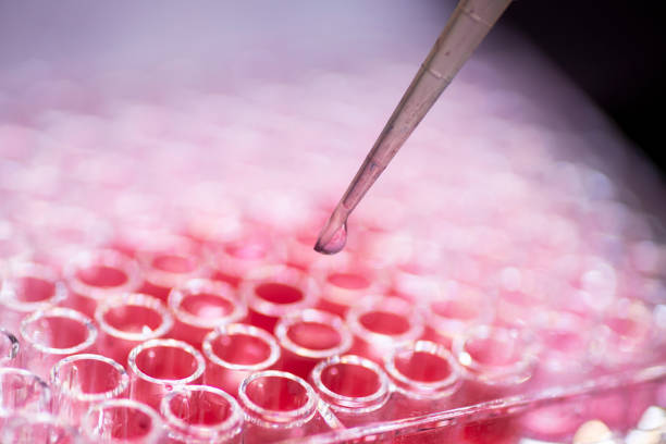 istock Researcher in laboratory working with cell culture 1931926268