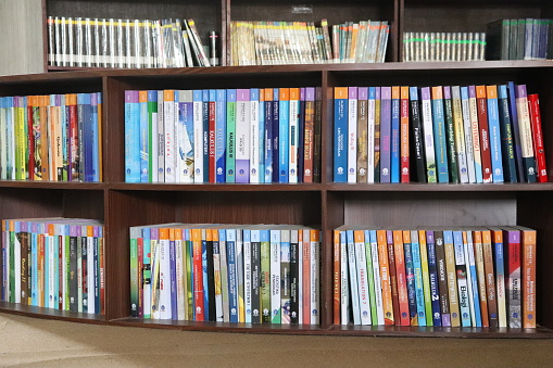 Assorted books organized neatly on wooden shelves