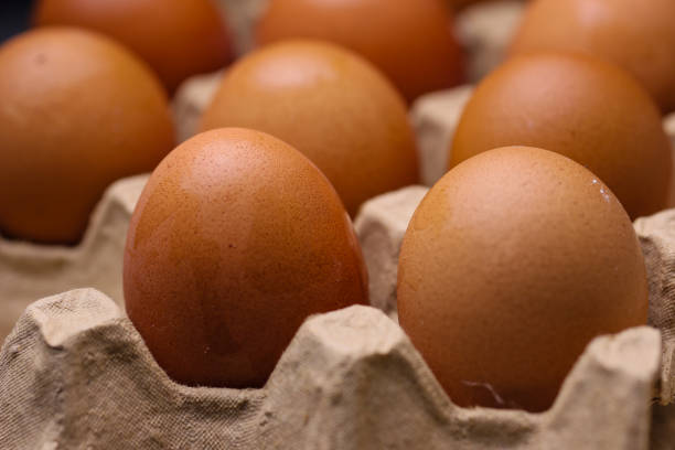 A Close-Up View Of Brown Eggs Arranged In A Recycled Cardboard Carton On A White Background, Showcasing Natural Texture And Packaging For Food And Grocery Themes.