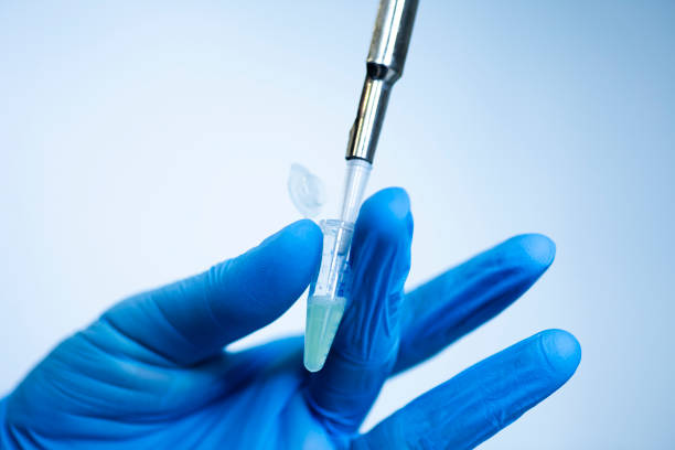 istock Researcher in laboratory working with cell culture 1931942678