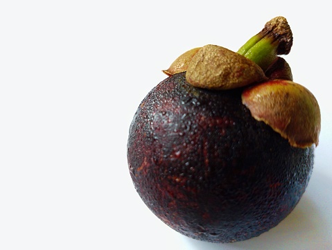 Title: one mangosteen fruit stock photo of Indonesian fruit