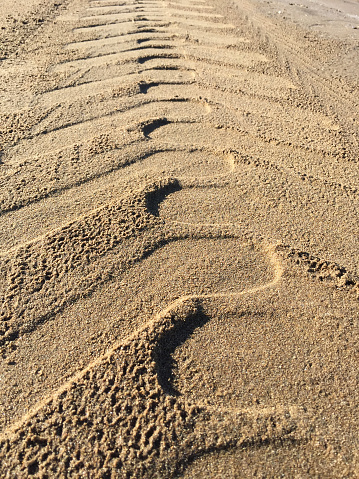 Close-up of tire tracks on clean beach sand
