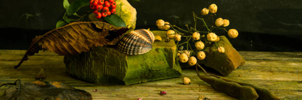 istock still life for celebrations like Valentines day, Christmas, Easter 1931997565