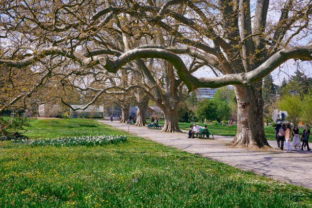 Geneva, Switzerland - APR 15,2022: A landscape of Geneva Botanical Garden on a sunny day, also known as the Conservatory and Botanical Garden of the City of Geneva, Switzerland.