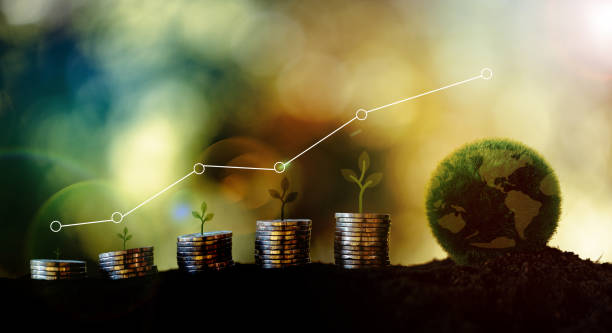 istock Plants grow on stacked coins, Renewable energy generation is essential for the future. Renewable energy, based green business can limit climate change and global warming. Green finance esg concept. 1932002894