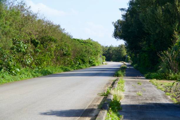 istock Roadway on Shimojishima with 40 km/h speed limit 1932016005