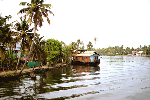 Back waters of Alleppey