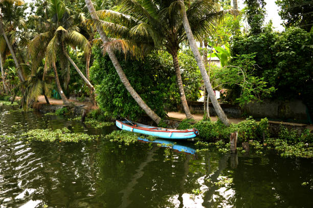 istock Alleppey House boat 1932060268