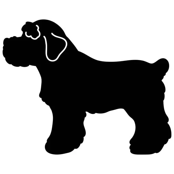 Vector illustration of Miniature Schnauzer side view standing silhouette with details